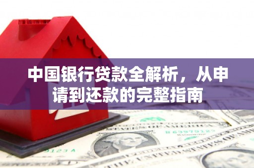 云龙中国银行贷款全解析，从申请到还款的完整指南