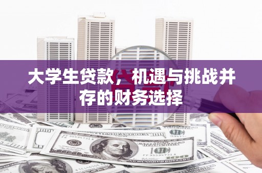 安定大学生贷款，机遇与挑战并存的财务选择