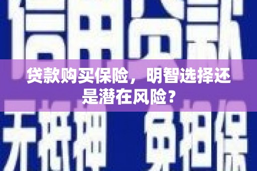 西丰贷款购买保险，明智选择还是潜在风险？