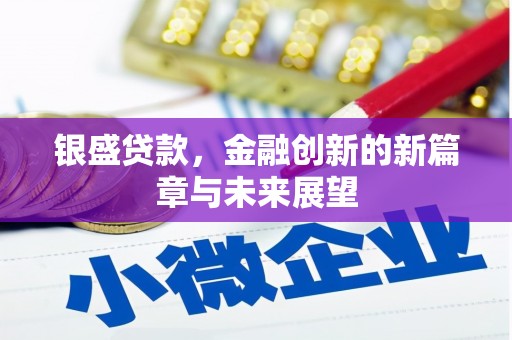 巨野银盛贷款，金融创新的新篇章与未来展望