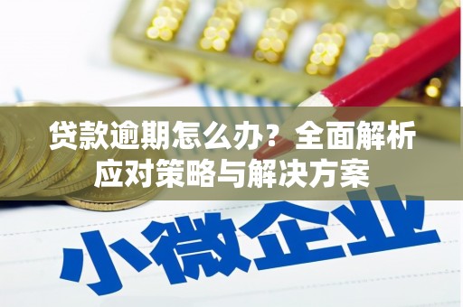 阳曲贷款逾期怎么办？全面解析应对策略与解决方案