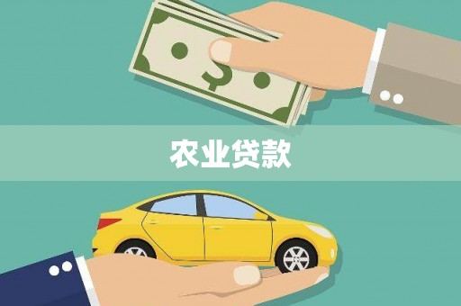 隆子农业贷款