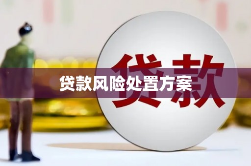 宁城贷款风险处置方案