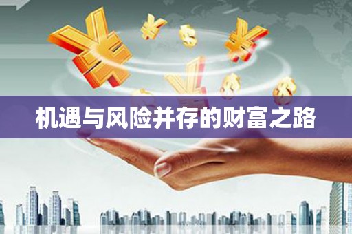 平南机遇与风险并存的财富之路