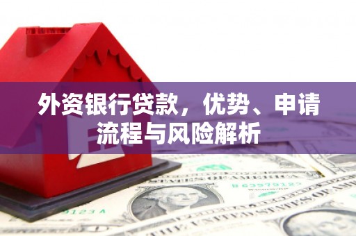 嘉禾外资银行贷款，优势、申请流程与风险解析