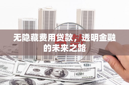 阿莲无隐藏费用贷款，透明金融的未来之路