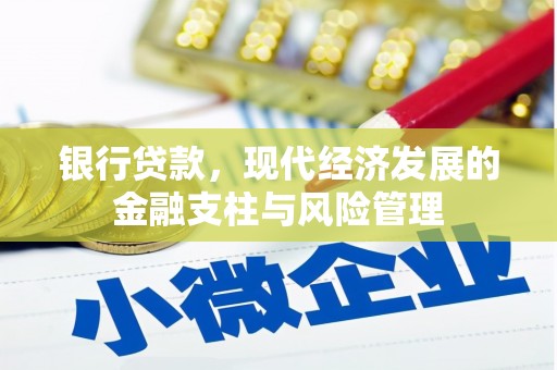 巴青银行贷款，现代经济发展的金融支柱与风险管理