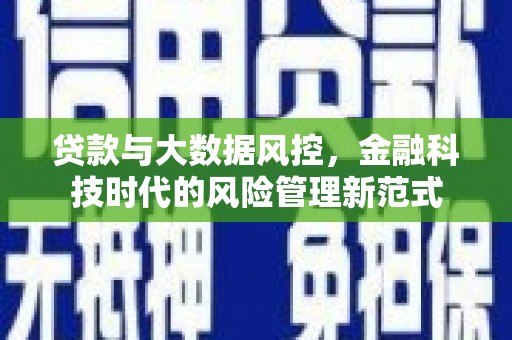 台东贷款与大数据风控，金融科技时代的风险管理新范式