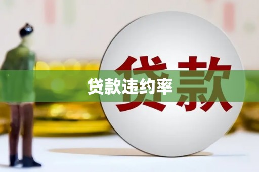 江华贷款违约率