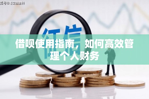 巩留借呗使用指南，如何高效管理个人财务