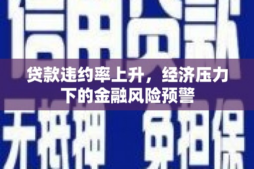 凤山贷款违约率上升，经济压力下的金融风险预警