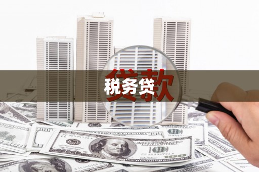 剑阁税务贷