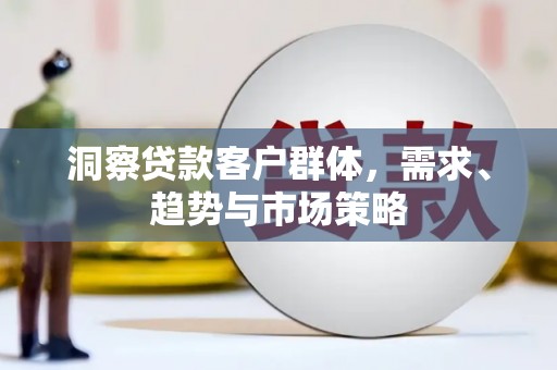 玛曲洞察贷款客户群体，需求、趋势与市场策略