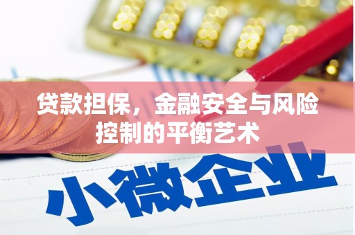 巍山贷款担保，金融安全与风险控制的平衡艺术