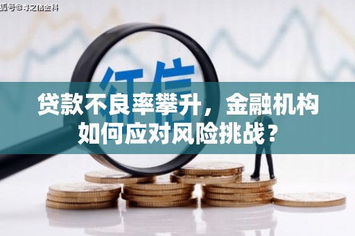淮上贷款不良率攀升，金融机构如何应对风险挑战？