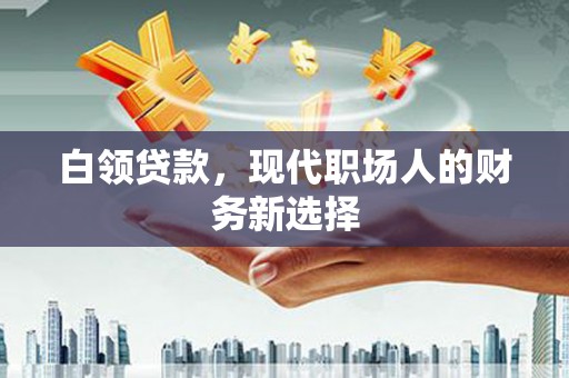 天津白领贷款，现代职场人的财务新选择