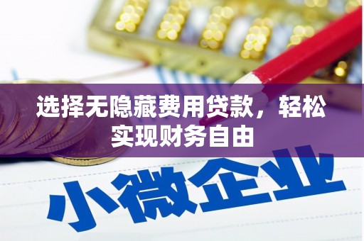 景东选择无隐藏费用贷款，轻松实现财务自由