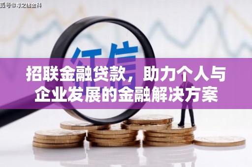 雨山招联金融贷款，助力个人与企业发展的金融解决方案