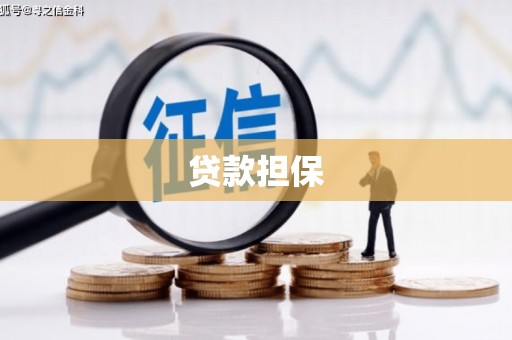 水富贷款担保