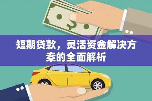 鹿草短期贷款，灵活资金解决方案的全面解析