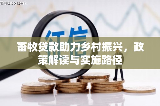 上街畜牧贷款助力乡村振兴，政策解读与实施路径