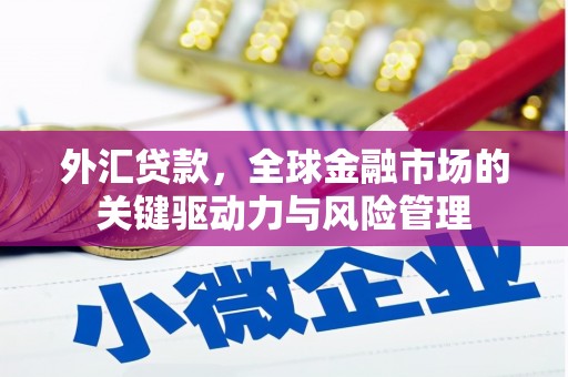 邗江外汇贷款，全球金融市场的关键驱动力与风险管理