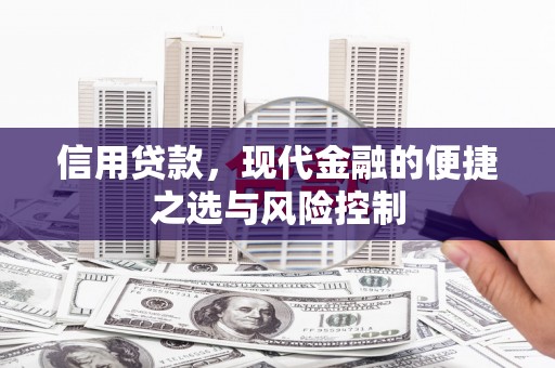 昭化信用贷款，现代金融的便捷之选与风险控制