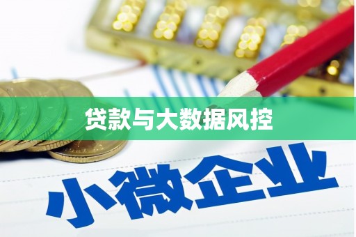 文安贷款与大数据风控
