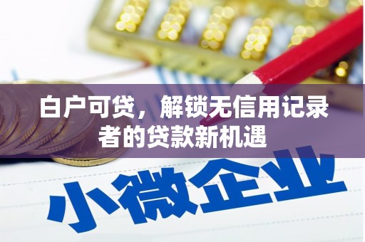 洛扎白户可贷，解锁无信用记录者的贷款新机遇