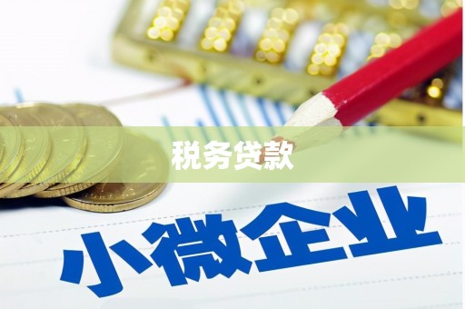 天津税务贷款