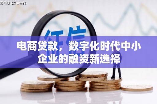 天津电商贷款，数字化时代中小企业的融资新选择