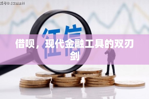 六横借呗，现代金融工具的双刃剑