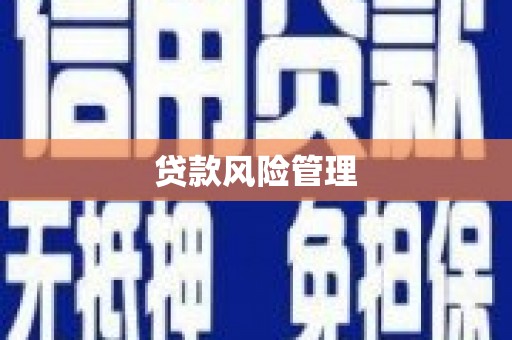 岭东贷款风险管理
