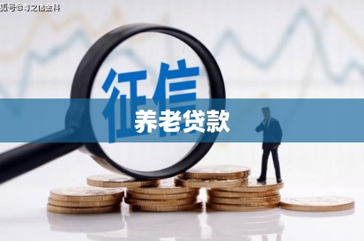 罗定养老贷款