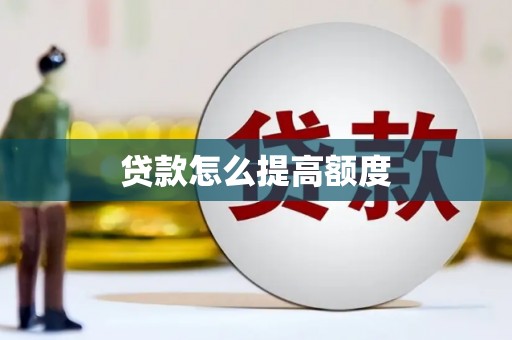 龙沙贷款怎么提高额度