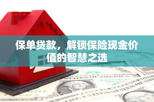 迭部保单贷款，解锁保险现金价值的智慧之选