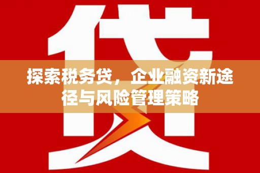 银川探索税务贷，企业融资新途径与风险管理策略