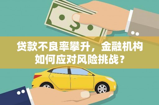 九台贷款不良率攀升，金融机构如何应对风险挑战？