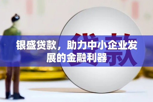 邵东银盛贷款，助力中小企业发展的金融利器
