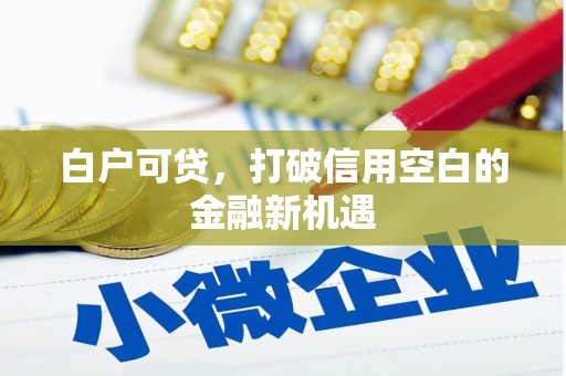 鱼峰白户可贷，打破信用空白的金融新机遇