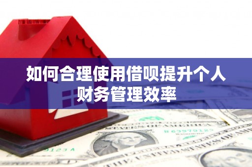 广安如何合理使用借呗提升个人财务管理效率