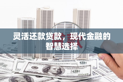 宁陵灵活还款贷款，现代金融的智慧选择
