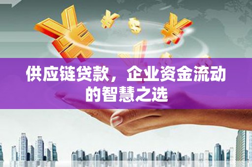 龙陵供应链贷款，企业资金流动的智慧之选