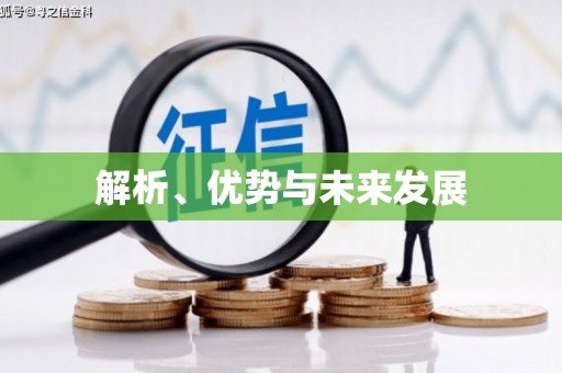 南召解析、优势与未来发展