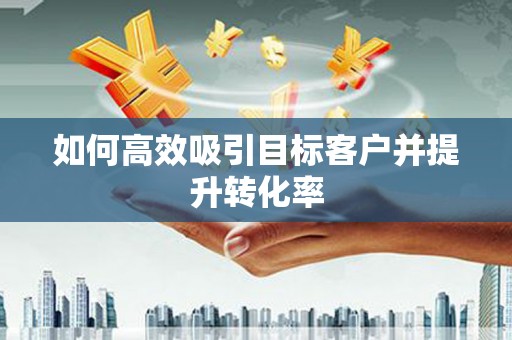 宝兴如何高效吸引目标客户并提升转化率