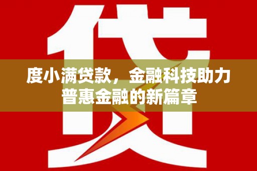 大林度小满贷款，金融科技助力普惠金融的新篇章