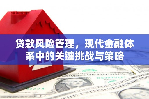 龙文贷款风险管理，现代金融体系中的关键挑战与策略