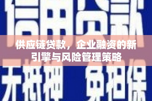 东川供应链贷款，企业融资的新引擎与风险管理策略