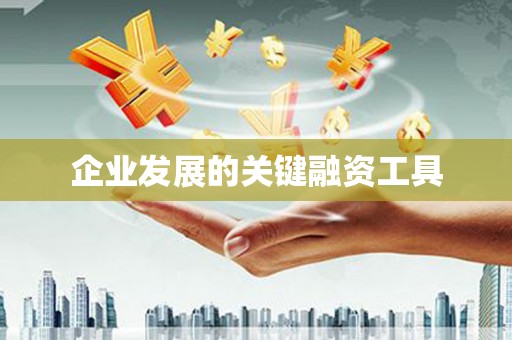 金阳企业发展的关键融资工具