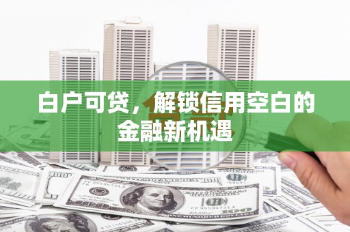 汕尾白户可贷，解锁信用空白的金融新机遇